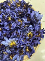 Thé de fleurs de lotus bleu de haute qualité, saveur naturelle douce, qualité alimentaire, emballé en sachet pour adultes