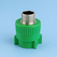 Raccord droit PPR à filetage mâle, adaptateur de tuyauterie PPR à filetage mâle, raccord mâle PPR moulé par injection pour projets de plomberie