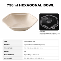 Boîte alimentaire jetable biodégradable et compostable en pulpe de bagasse de canne à sucre pour repas et plats à emporter