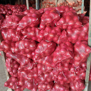 Bán nóng giá tốt 5-8 cm hành tây đỏ bán buôn Chất lượng cao số lượng lớn hành tây vàng tươi xuất khẩu - Product Image 6