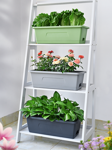 Bac à jardinage en plastique avec Logo <span class=keywords><strong>personnalisé</strong></span>, 10000 pièces, Pots <span class=keywords><strong>de</strong></span> fleurs - Product Image 3