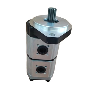 Pompe à double engrenage -v 80910417 en stock - Product Image 4