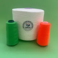 Fil à broder semi-mat 100 % polyester filé 16/2 16/3 pour la production de fil à coudre industriel et les vêtements écologiques