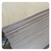 Tablero de Resina Fenólica de Madera Contrachapada de 18 mm y 12 mm, Madera Contrachapada de Abedul Finlandés, Madera Curvada, Madera Contrachapada de 18 mm