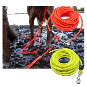 Tali kerah hewan peliharaan PVC ringan untuk anjing ekstra ringan Hundeleine Sport Hundesport Hundeausbildung pola padat