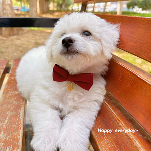 Corbata de lazo roja de color sólido para perros, accesorio para collar de mascotas, decoración para bodas de perros y gatos, uso en las cuatro estaciones. - Product Image 1