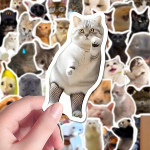 สติกเกอร์แมวน่ารักและตลก 100 ชิ้น สำหรับติดแล็ปท็อป ขวดน้ำ สไตล์อินส์ วัสดุสำหรับงานสมุดภาพ - Product Image 1