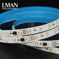 Hochwertige RGBW SMD5050 60 LEDs/m 12V/24V LED-Streifenbeleuchtung mit CRI 83 Dimmbares TV-Hintergrundbeleuchtungs-Set
