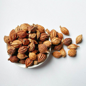 Épice simple herbesChina Amomum Fructus Amomi Cardamome parfumée pour cuisinier - Product Image 5