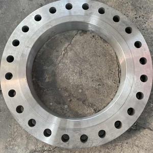 Brida de Acero Inoxidable A182 F51 Uns S31803 Dn150 Pn10 de 4 Pulgadas para Fabricantes - Product Image 5