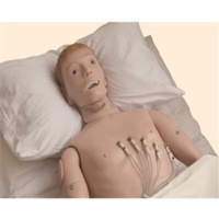 Maniquí simulado ECG para entrenamiento de Ciencias Médicas