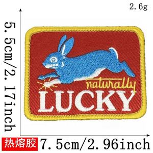 Parche Termoadhesivo Bordado de Moda: Lucky Howdy, Mama, Problema de Alguien, Agrega a la Lista de Santa, para Decoración de Sombreros y Abrigos de Exterior - Product Image 3