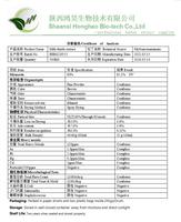 Poudre d'extrait de graines de chardon-Marie 80% Silimarine de qualité alimentaire certifiée HPLC et Halal, en fût, pour compléments alimentaires – Approvisionnement direct usine