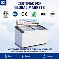 Congelador/Refrigerador Vitrina Exhibidora de Helados y Gelatos con Tapa de Cristal Personalizada, de Una Sola Temperatura, Económico y de Gran Venta