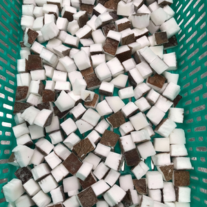 Carne de coco congelada IQF de alta calidad con aroma fresco, rico sabor de Vietnam // BEST SELLER 2025 - Product Image 1