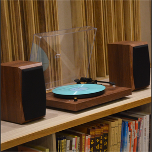 TRL40 OEM Stéréo HiFi Son de qualité supérieure Boîte portable en bois pour tourne-disque <span class=keywords><strong>vinyle</strong></span> 5.0 Aux USB Radio FM 33/45 RPM Type-C - Product Image 3