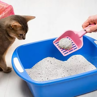 Pasir Kucing Ringan Berbahan Dasar Tumbuhan, Pasir Kucing Menggumpal, Pasir Kucing Terlaris di Pasar Eropa