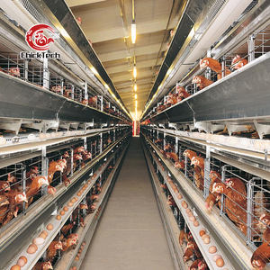 Nouvelle cage à poules automatique à installation facile, <span class=keywords><strong>type</strong></span> batterie, en acier galvanisé à chaud, durée de vie supérieure à 18 ans, pour l'élevage - Product Image 5