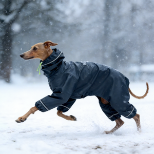 Vêtements <span class=keywords><strong>pour</strong></span> chien Greyhound, imperméables, réfléchissants, 4 pattes, veste à capuche réglable <span class=keywords><strong>pour</strong></span> animaux <span class=keywords><strong>de</strong></span> compagnie, <span class=keywords><strong>manteau</strong></span> <span class=keywords><strong>pour</strong></span> <span class=keywords><strong>Whippet</strong></span>, chiens <span class=keywords><strong>de</strong></span> taille moyenne et grande, imperméable - Product Image 2