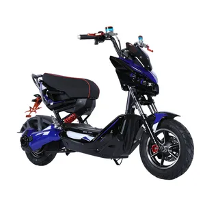 Nieuwe Collectie Scooter Elektrische Motorfiets Zhanlang Gemaakt In China 2000 W