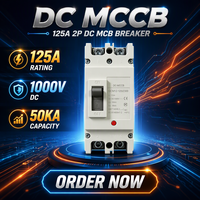 Disjoncteur à boîtier moulé (MCCB) 2P 125A DC 1000V solaire 50kA CE IEC60947-2