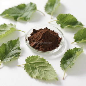 食品グレード10% 天然桑葉エキスMorus Albaハーブ植物エキス粉末状ドラムまたはボトル入り - Product Image 4