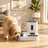 Fontaine à eau pour chat et distributeur automatique de nourriture, ensemble complet avec distributeur d'eau à circulation automatique