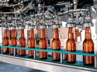 Fournisseur de ligne de production automatique de remplissage de bouteilles en verre pour spiritueux et vins sur mesure OEM
