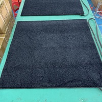Tapis LED Lumineux Effet Ciel Étoilé, Fibre Optique, Couleurs Changeantes, Contrôle Musical, Tailles Personnalisables