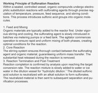 Nouveau réacteur à lit fluidisé haute pression pour la récupération de soufre et la désulfuration