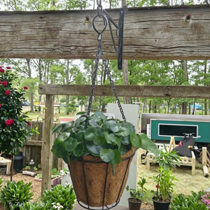 Prezzo di fabbrica transfrontaliero nuovo cesto appeso in metallo cocco per <span class=keywords><strong>balcone</strong></span> vaso di fiori decorazione - Product Image 3