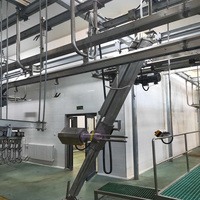 Machine complète de décapage de 200 moutons d'abattoir pour l'équipement de traitement de la viande Abattoir de chèvre Abattoir d'agneau