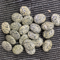Vente en gros de 45mm Cristaux Pierre de Guérison Natur White Howlite Crystal Palm Stone à vendre