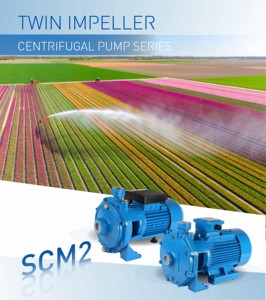 Pompe à eau électrique mono-étagée 1HP avec propulseur centrifuge en fer à double roue pour l'agriculture Triphasé disponible - Product Image 4