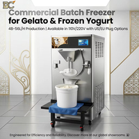 Machine à glace artisanale professionnelle 14L à cylindre, refroidie par air, pour gelato et crème glacée dure, avec certification CE/ETL
