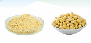 Bubuk ekstrak Protein peptida kedelai Phytoestrogen bubuk <span class=keywords><strong>Isoflavone</strong></span> kedelai larut air - Product Image 3