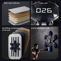 Machine de boxe musicale électronique intelligente murale sans perçage, 9 niveaux de vitesse, charge Type-C détachable, entraînement au punching