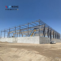 Estructura de Almacén de Acero, Proveedor Líder en la Industria, Construcción de Estructura Metálica de Acero Ligero, Precio Competitivo, Calibre Ligero