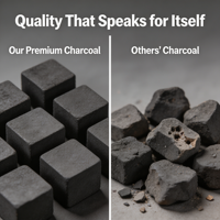Charbon à chicha écologique BLACKLION sans fumée, sans odeur, en cubes de coquille de noix de coco naturelle pour chicha