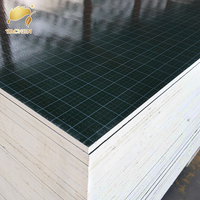 Contrachapado de PP con Película Verde para Encofrado 12/15/18, Contrachapado Recubierto de Película para Construcción