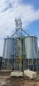 Galvanizli çelik tahıl depolama silo mısır silosu toplu hayvan besleme tohumu depolama silo kutuları