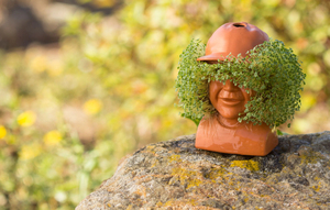 Chia Pet <span class=keywords><strong>Dustin</strong></span> de <span class=keywords><strong>Stranger</strong></span> Things Diversión para cultivar maceta decorativa Fácil diseño artificial para el hogar al aire libre - Product Image 3