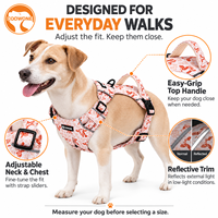 Harnais et laisse personnalisés pour chien, imprimé réfléchissant, gilet pour animal de compagnie avec poignée rembourrée, clips avant et arrière, harnais réglable pour la promenade en extérieur