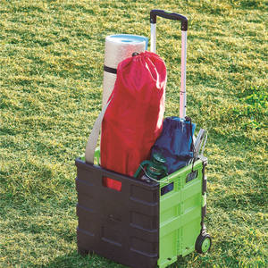 Chariot de courses pliable / Chariot / <span class=keywords><strong>Caisse</strong></span> de courses à roulettes (CAPACITÉ 25 KG) - Product Image 5