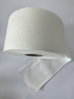 Noyau absorbant en SAP de pâte de bois biodégradable pour serviettes hygiéniques écologiques