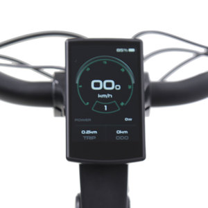 Bicicleta Eléctrica Urbana TXED con Motor Trasero para Reparto de Comida, Cuadro de Aluminio, 48v 250W, 7 Velocidades, Panel LCD, Batería de Litio de Carga Rápida - Product Image 5