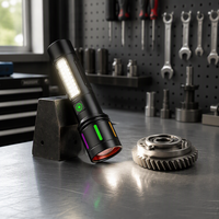Lampe de travail portable à LED, indice de protection IP65, multi-modes, 150 lumens