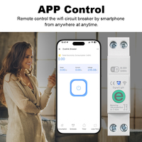 Compteur d'énergie intelligent monophasé Ewelink WIFI avec protection contre les surtensions/surintensités, mesure du KWh, surveillance, disjoncteur, relais temporisé 63A