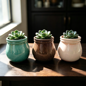 Joli ensemble de pots à plantes succulentes en céramique gaufrée à pois, blanc et bleu, pour la décoration intérieure et le jardinage - Product Image 3
