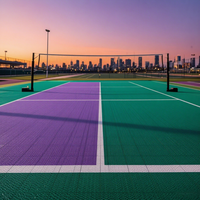 Plaques de surface de pickleball d'extérieur en composite non dégradable pour terrains de sport, choix des développeurs de projets, avec structure robuste
